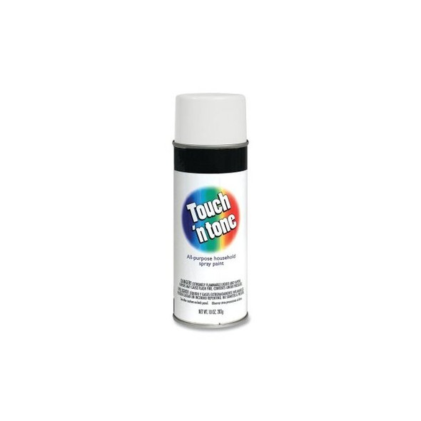 Touch 'n Tone Spray Paint, 10 oz, White, Flat