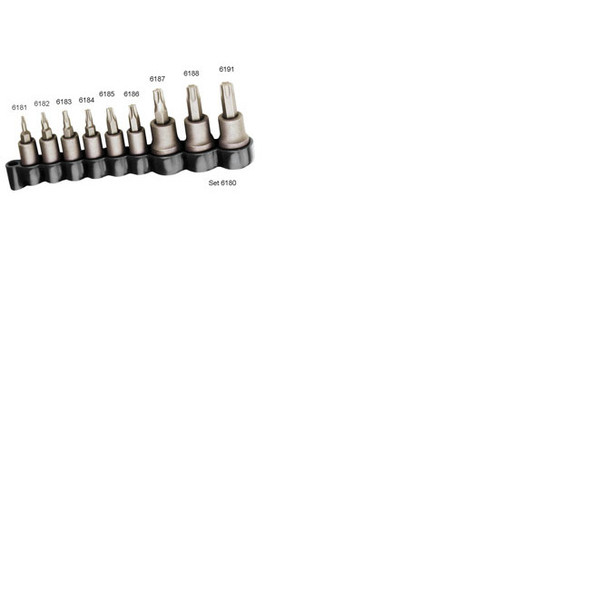 Size TP40 TORX PLUS  Bit Socket 6187