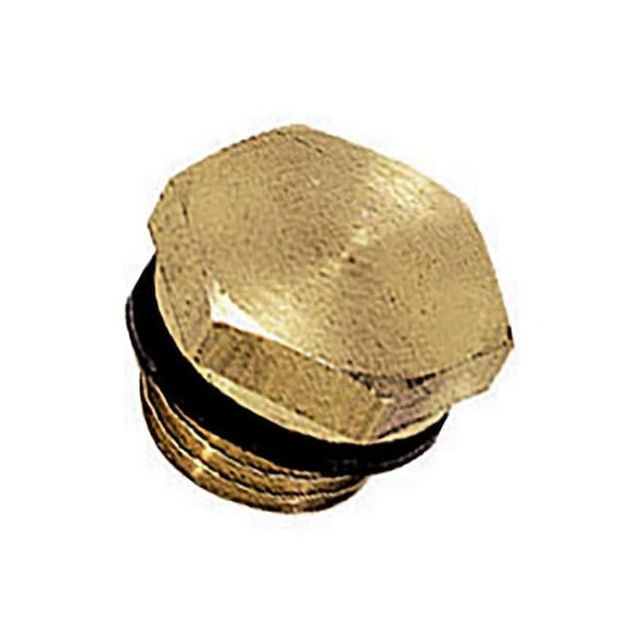 Legris Brass Hex Head Plug, Male BSPP 0220 13 00 Pack of 10