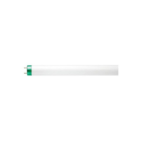 Fluorescent,25 W,T8,Medium Bi-Pin (G13) Pack of 30
