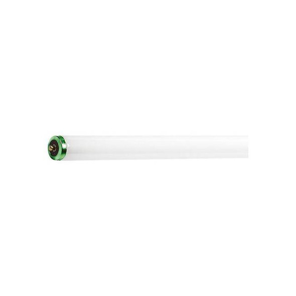 Philips Fluorescent,39 W,T12,Single Pin (Fa8) F48T12/CW ALTO 15PK Pack of 15