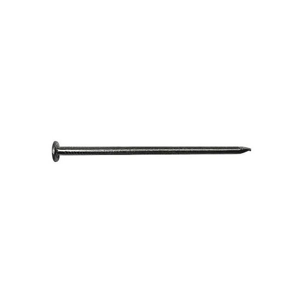 Common Nail, 2 in L, 6D, Steel, Plain Finish, 12 1/2 ga, 1160 PK