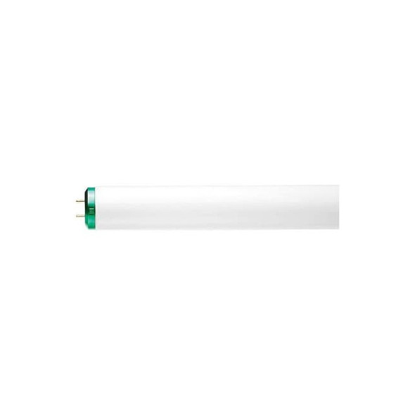 Fluorescent,30 W,T12,Medium Bi-Pin (G13) Pack of 30