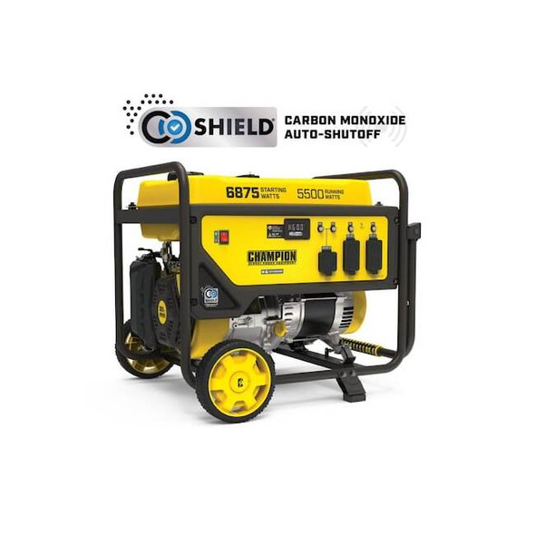 Portable Generator, Gasoline, Recoil Start, 120/240V AC