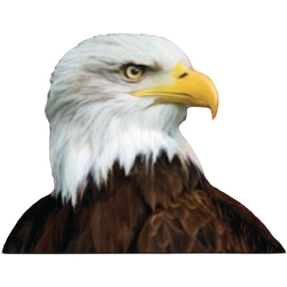 Briarwood Lane American Eagle Patriotic Mailbox Cover M01328