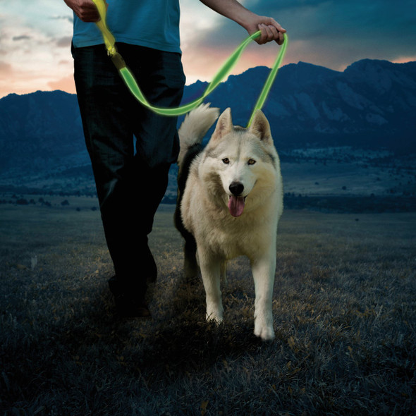 Nite Ize NiteDog Lime Greem LED Rechargeable LED Leash NDLR-17-R3 757295