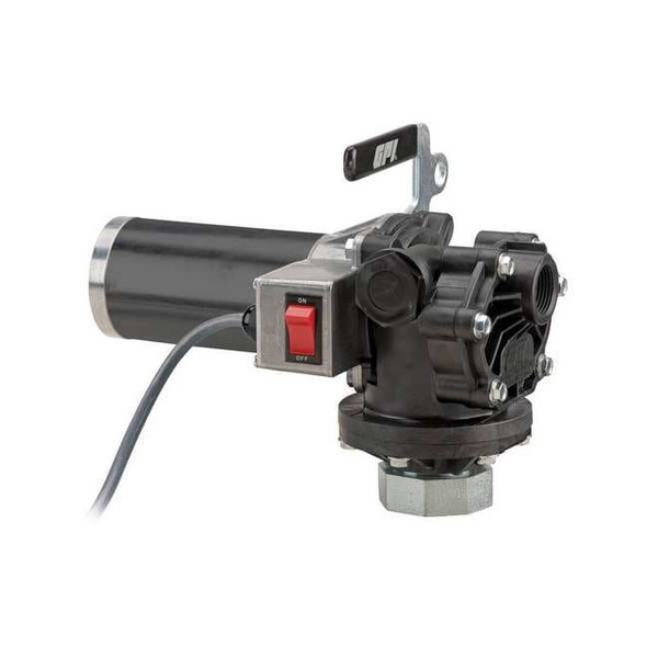 Gpi ElectricDrumPump,Polyethylene,12VDC P-120H-2UR