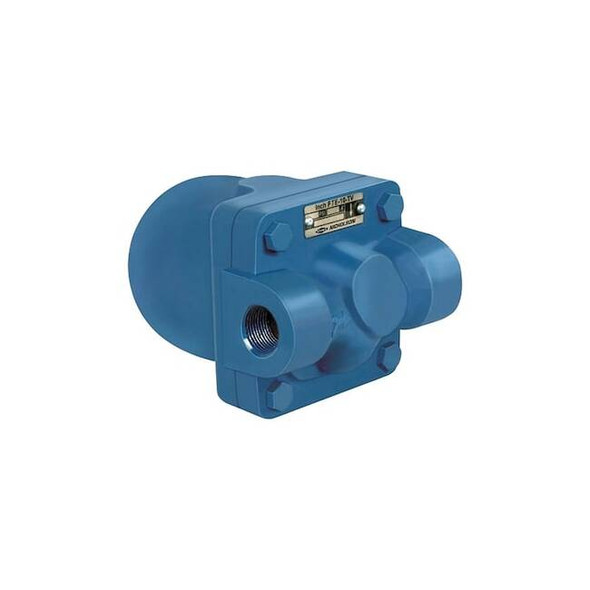 Nicholson Steam Trap,Stainless Steel,65 psi,3/4 in 3/4 FTE-65
