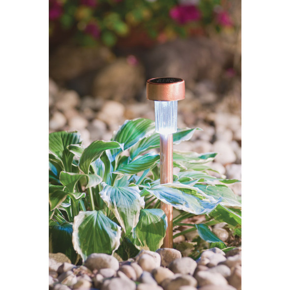 Outdoor Expressions Copper 2.10 Lumens Metal Mini Solar Path Light Pack of 16 ESL-60-1(24) 519952