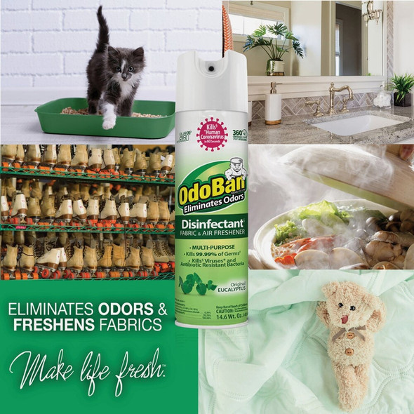 OdoBan 14 Oz. Eucalyptus Fabric & Air Freshener 910001-14A6 602001
