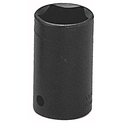 5 Point Black Penta Socket, 1/2 in Drive, Black Oxide