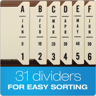 SORTER,PLASTIC,31 DIVDRS