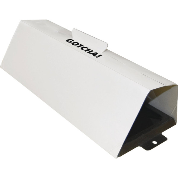 Intruder The Better Glue Trap Cold Temperature Rat Trap (2-Pack) 17515