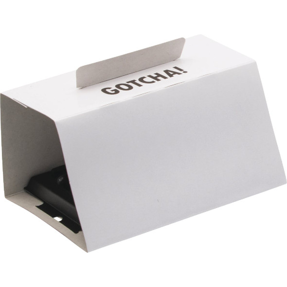 Intruder The Better Glue Trap Cold Temperature Mouse Trap (4-Pack) 17505