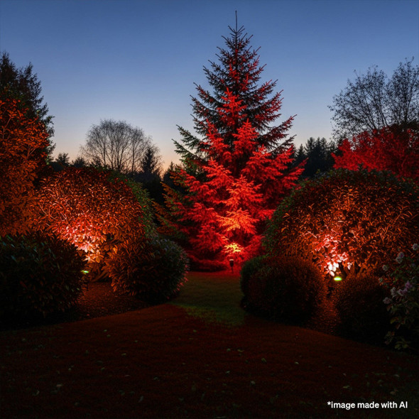 Philips 100W Equivalent Red PAR38 Medium LED Floodlight Light Bulb