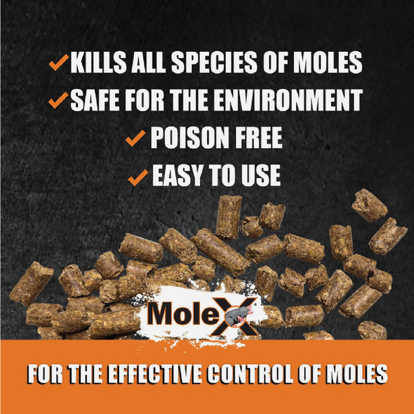 MoleX 8 Oz. Mole Killer MoleX 8 Oz. Mole Killer