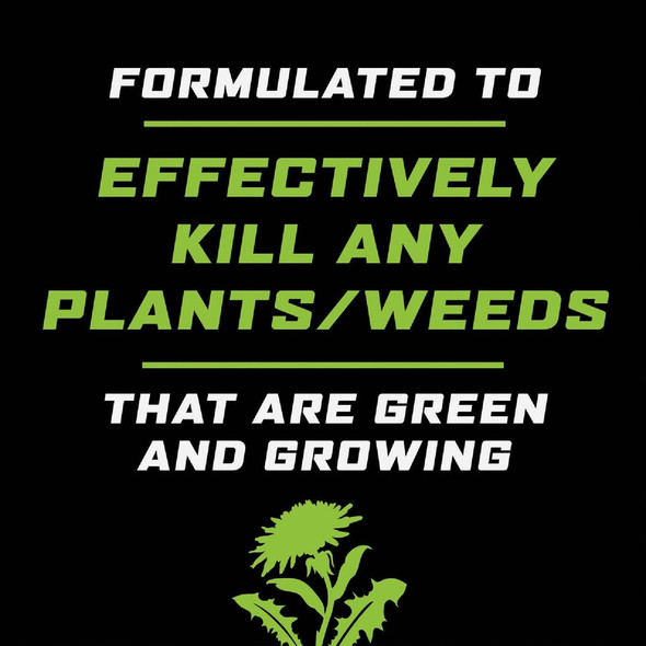 Ortho GroundClear 32 Oz. Concentrate Weed & Grass Killer 4650306 747700