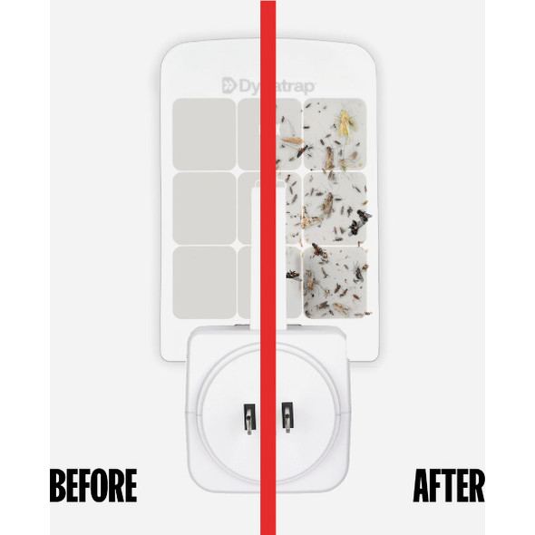 Dynatrap Indoor Fly Trap Glue Card Refills (6-Pack)