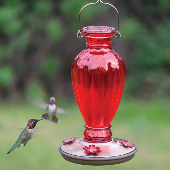 Perky-Pet 18 Oz. Daisy Vase Vintage Glass Hummingbird Feeder 8133-2 Pack of 2 705425