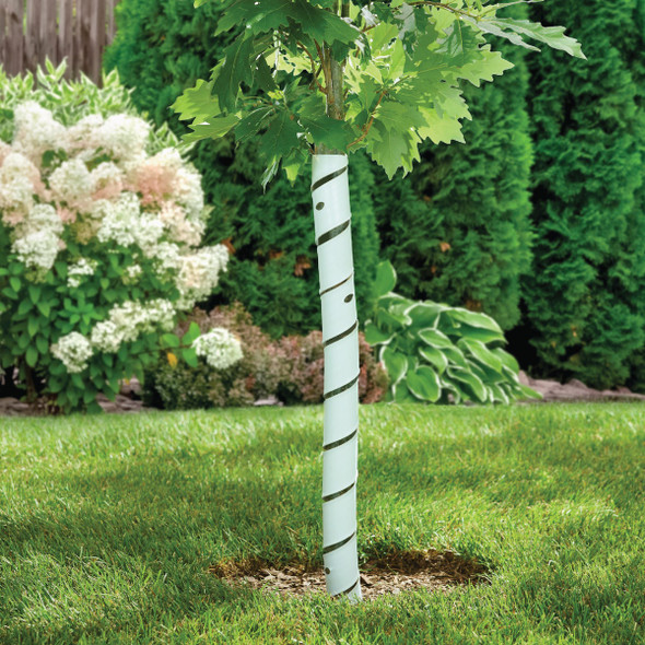 Master Mark 4 In. W. x 24 In. L. Spiral Tree Protector (2-Pack)