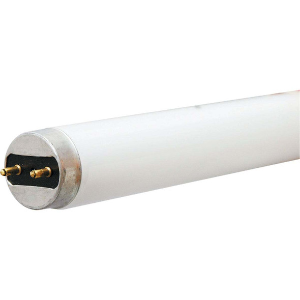 Philips 17w T8 Bw Fluor Tube 543363 Pack of 12