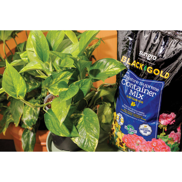 Black Gold Moisture Supreme 8 Qt. 6 Lb. Container Potting Soil Mix 1413000.Q08P 704265