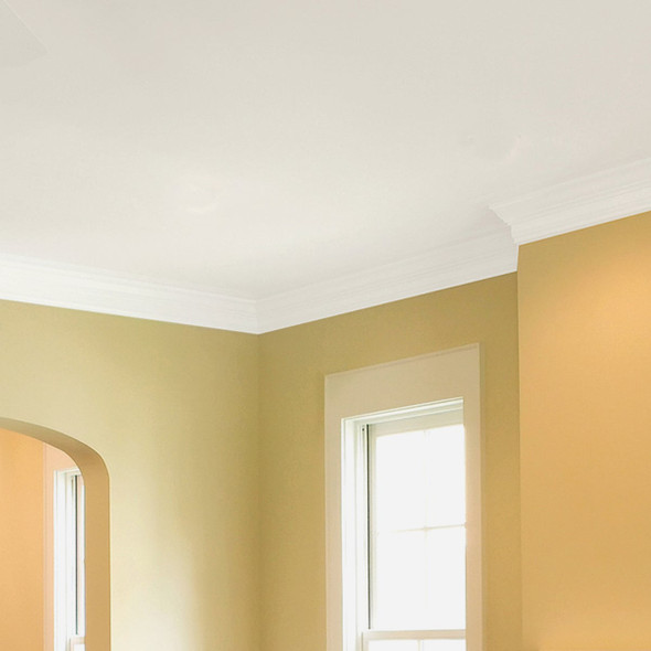 Zinsser Stainblock Ceiling Paint 260967 771017