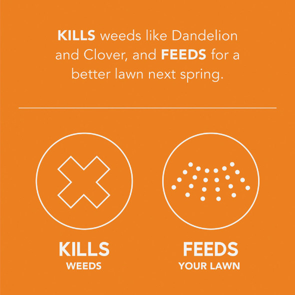 Scotts Turf Builder WinterGuard 11.43 Lb. 4000 Sq. Ft. Fall Weed & Feed