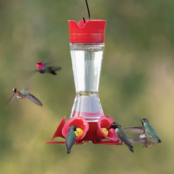 Perky-Pet 16 Oz. Favored Pinch-Waist Glass Hummingbird Feeder