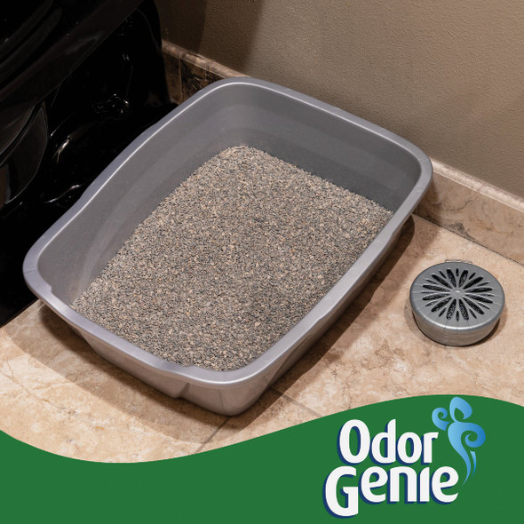 DampRid Odor Genie 8 Oz. Clean Meadows Solid Air Freshener