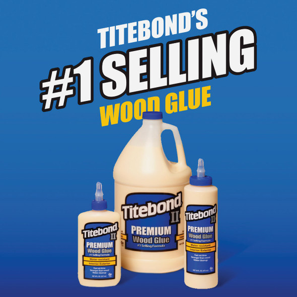 Titebond II 1 Qt. Premium Wood Glue 5005 364053
