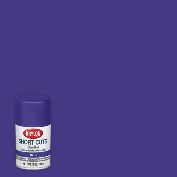 Krylon Short Cuts 3 Oz. High-Gloss Enamel Spray Paint, Iris SCS-074