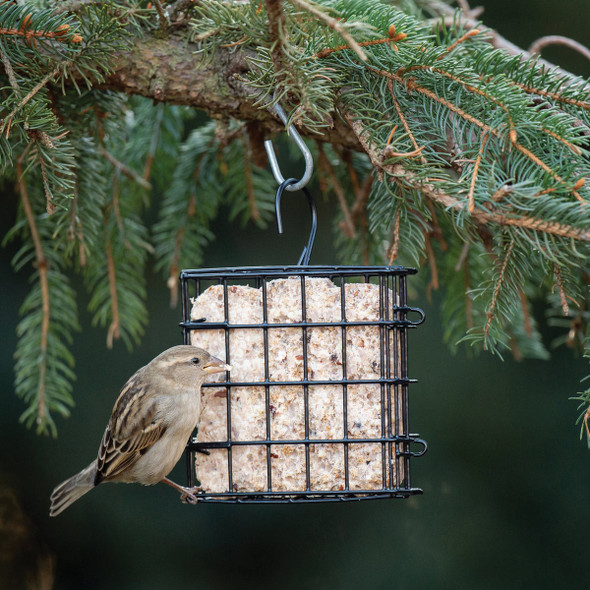 Stokes Select Green 1-Cake Steel Suet Feeder 38092 712200