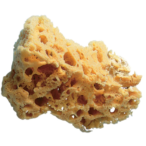 Trimaco SuperTuff 5 to 6 In. Natural Grass Sea Sponge 10136