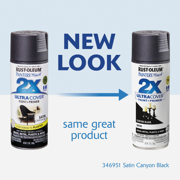 Painter's Touch Cnyn Blk Sat Spray Paint 346951 795130