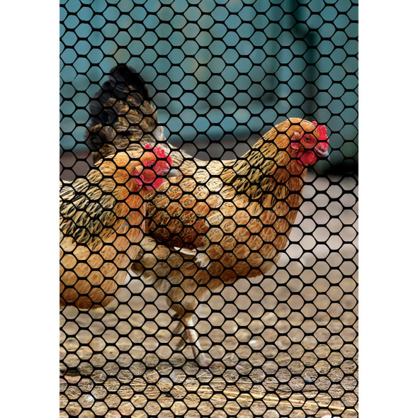 Tenax 3/4 In. x 3 Ft. H. x 25 Ft. L. Hexagonal Plastic Poultry Netting Fence, Black Tenax 3/4 In. x 3 Ft. H. x 25 Ft. L. Hexagonal Plastic Poultry Netting Fence, Black