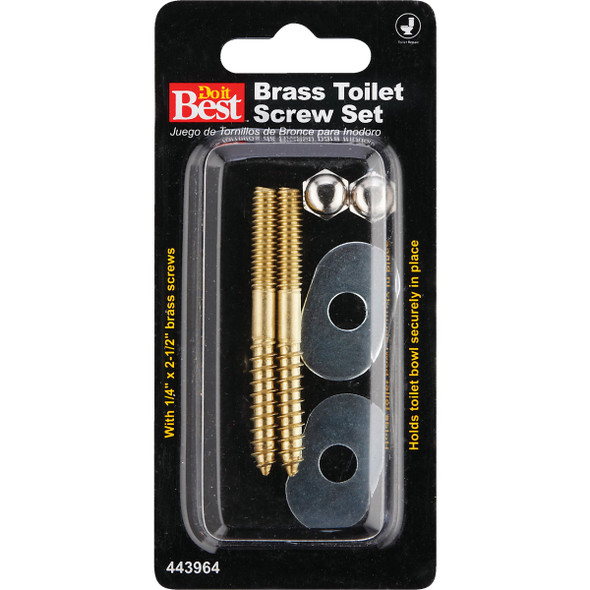 Do it Best 1-4 In. x 2-1-2 In. Solid Brass Toilet Screws  060315 443964