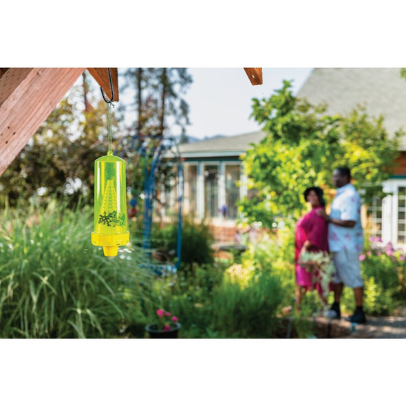 Rescue Liquid Outdoor Yellow Jacket Bait (2-Pack) YJTA-DB12 713872