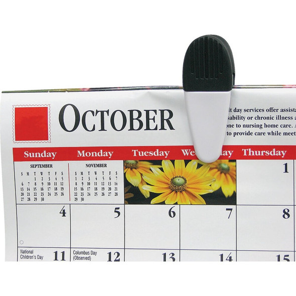 Master Magnetics 3-1-2 In. White Magnetic Clip (2-Pack) 07523 631744