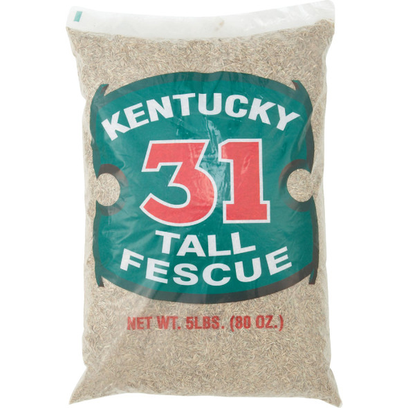 Barenbrug 5 Lb. 1000 Sq. Ft. Coverage Kentucky 31 Tall Fescue Grass Seed 16205