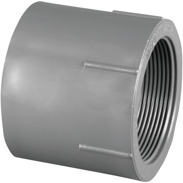 Charlotte Pipe 1-1/2 In. Schedule 80 Female PVC Adapter PVC 08101  1800HA