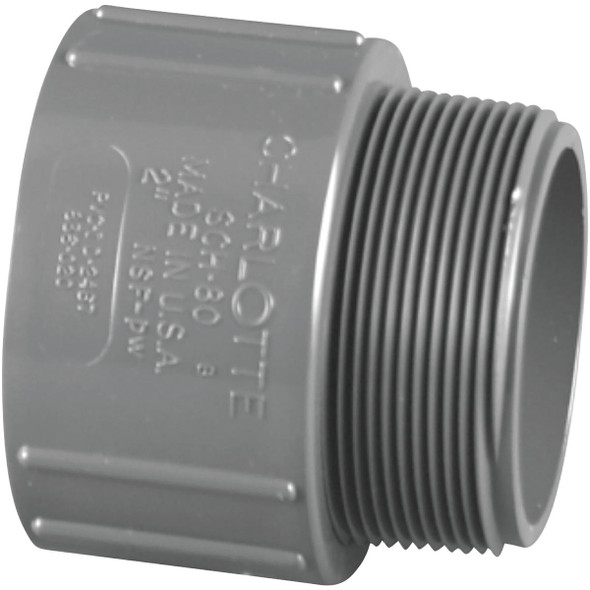 Charlotte Pipe 2 In. Schedule 80 Male PVC Adapter PVC 08109  1600HA