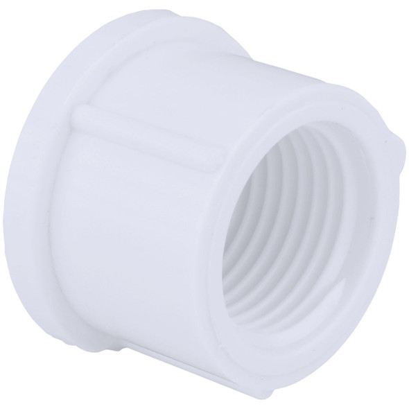 Charlotte Pipe 1 In. FIP Schedule 40 Threaded PVC Cap PVC 02117  1200HA