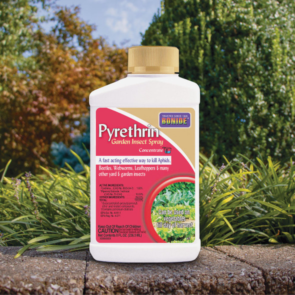 Bonide 8 Oz. Concentrate Pyrethrin Garden Insect Spray 857 763370