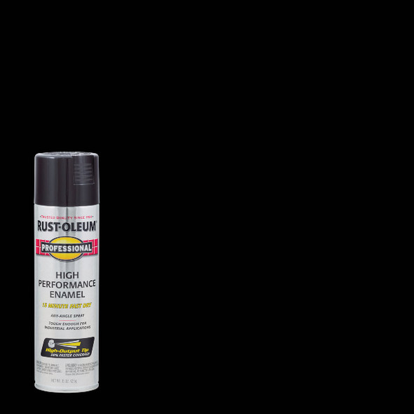 Professional Black Pro Spray Paint 7579838