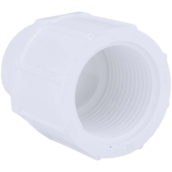 Charlotte Pipe 3/4 In. x 1 In. Schedule 40 Female PVC Adapter PVC 02101  3600HA
