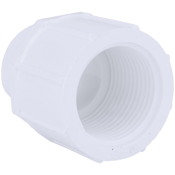 Charlotte Pipe 3/4 In. x 1 In. Schedule 40 Female PVC Adapter PVC 02101  3600HA