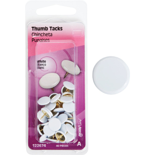 Hillman Anchor Wire White 23/64 In. x 15/64 In. Thumb Tack (40 Ct.) 122674