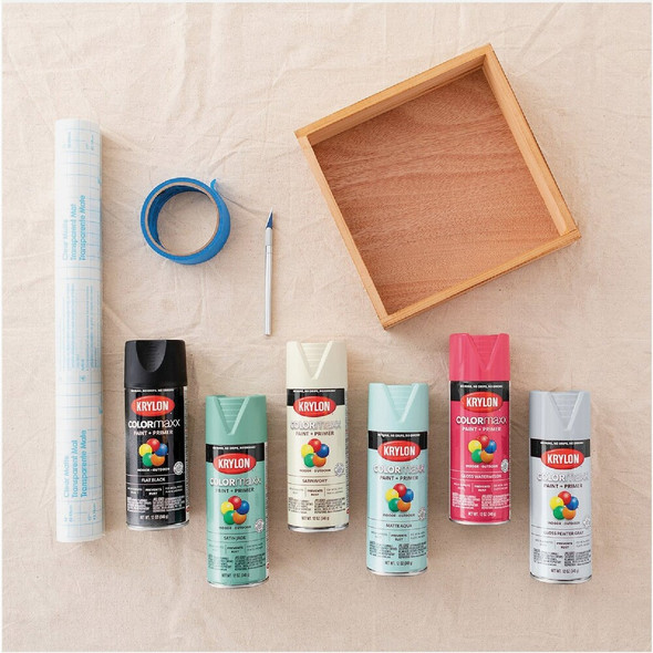 Krylon ColorMaxx 12 Oz. Gloss Spray Paint, Watermelon K05544007 782135