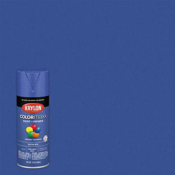 Krylon Colormaxx Satin Spray Paint & Primer, Iris K05564007